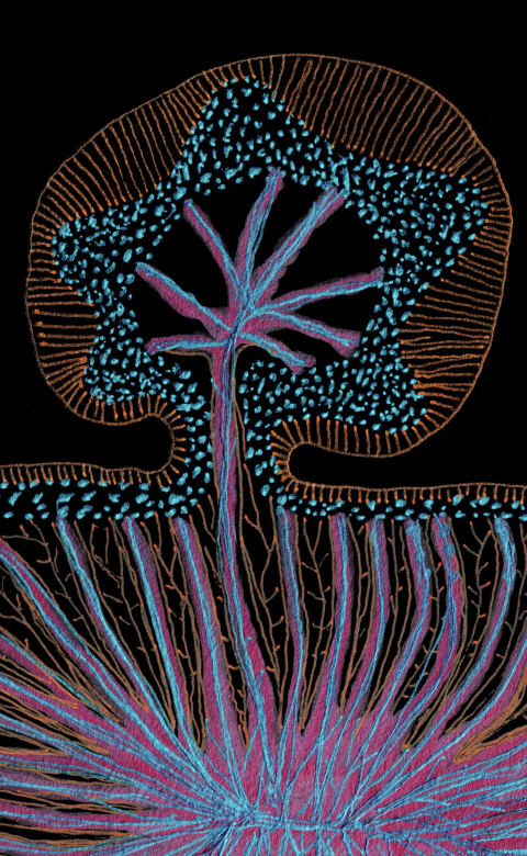 Milano Design Week 2026 Cinque Vie eventi Fuorisalone distretto 5VIE, Guida agli eventi del Fuorisalone 2026 nel quartiere 5VIE a Milano